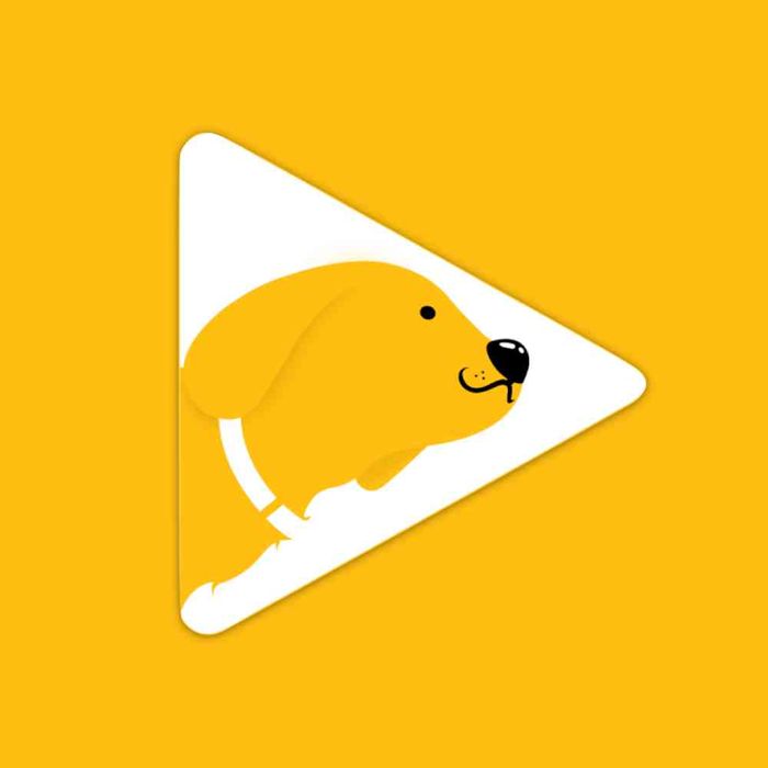 Profile picture for user marspedigreeph@gmail.com