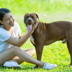 Image of dog
