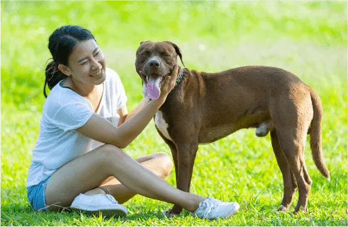 Image of dog