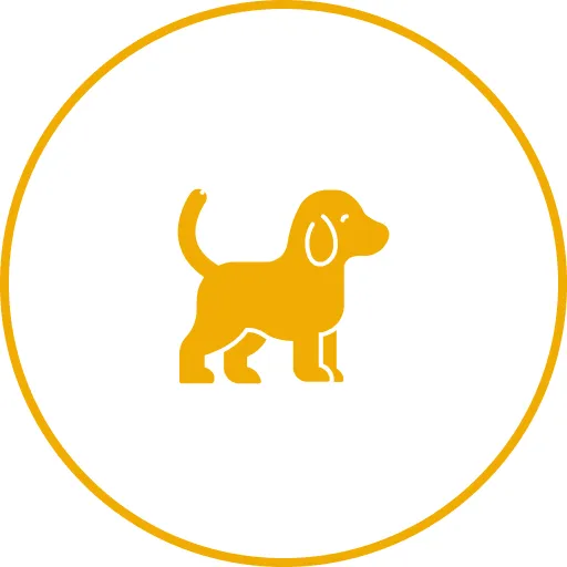 tools-icon