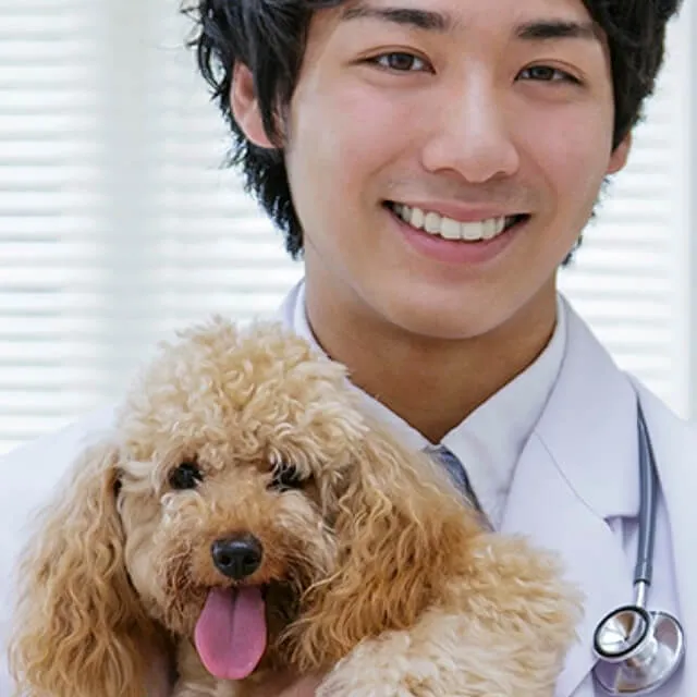 Image of dog