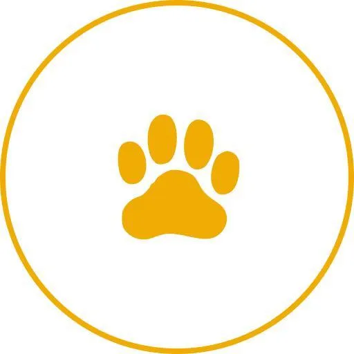 tools-icon