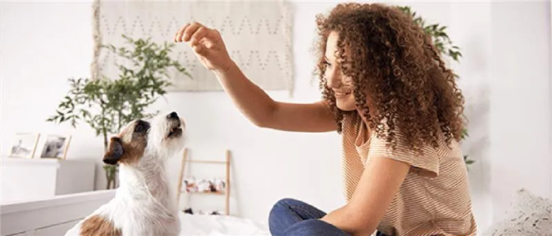 Woman smiling happily with her pet as they undergo a dog training session at home.