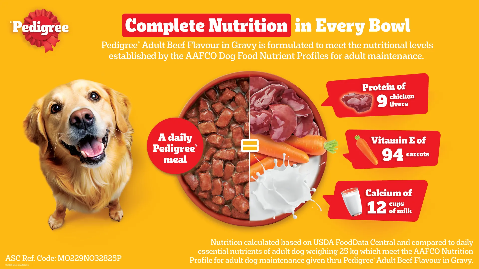 dog-food-banner