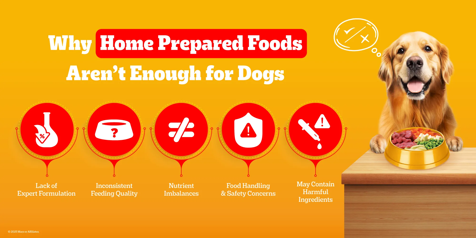 dog-food-banner