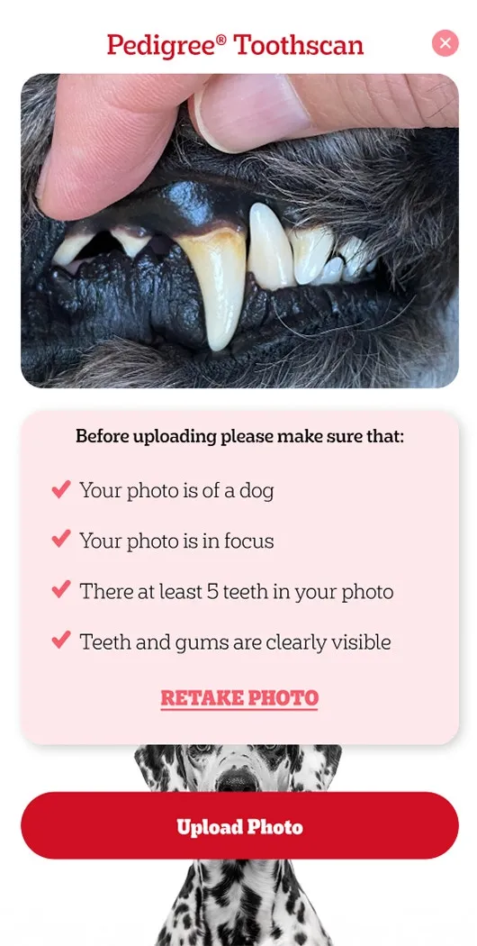Take a Photo