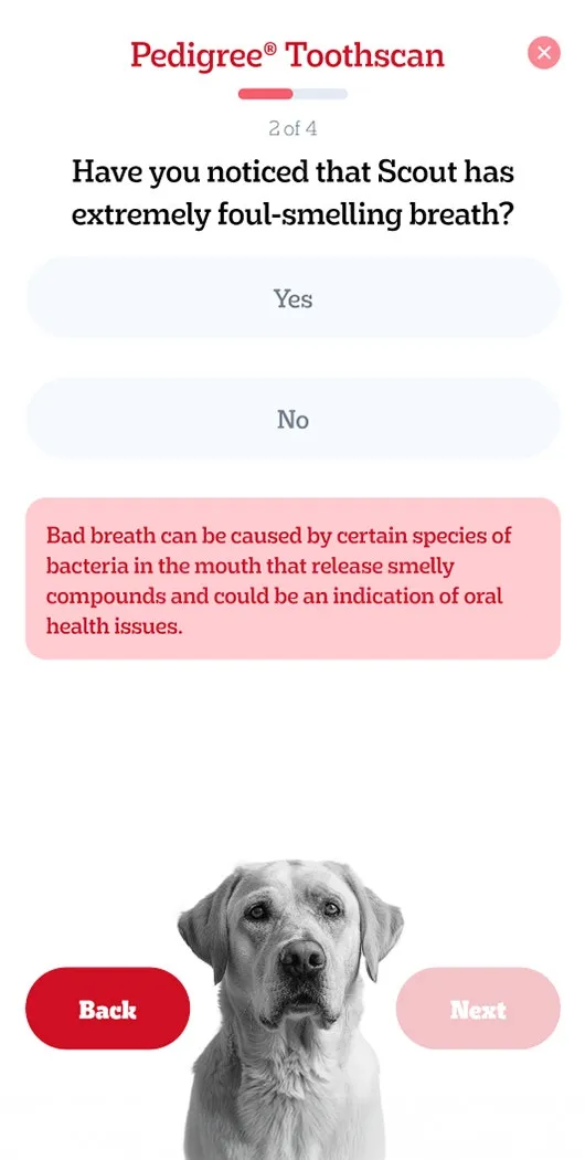 Answer Questions