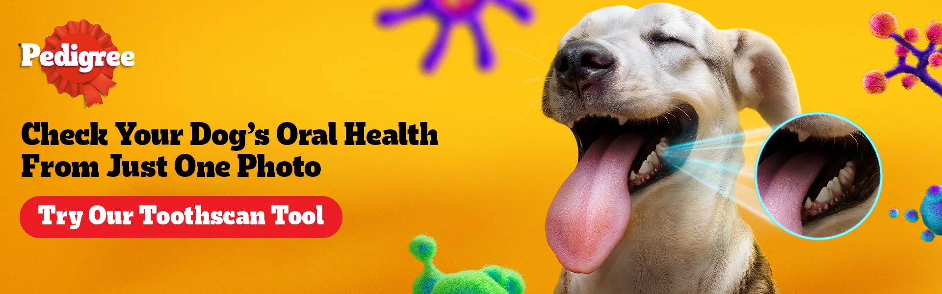 dog-food-banner